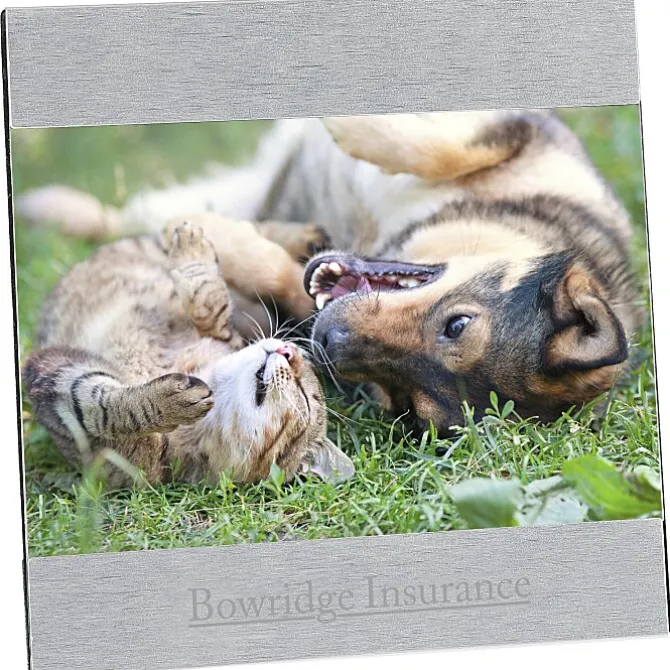 4 inches x 6 inches Brushed Aluminum Split Frame