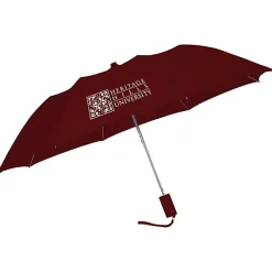 42-inch Folding Umbrella with Auto Open - Solid - 42-inch Arc - 24 hr