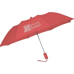 42-inch Folding Umbrella with Auto Open - Solid - 42-inch Arc - 24 hr