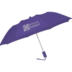 42-inch Folding Umbrella with Auto Open - Solid - 42-inch Arc - 24 hr