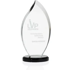 Innovation Crystal Award - 10 inches