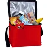 Koozie® 6-Pack Cooler - 24 hr