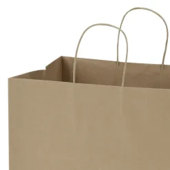 Kraft Paper Brown Shopping Bag - 15 1/2 inches x 14 inches