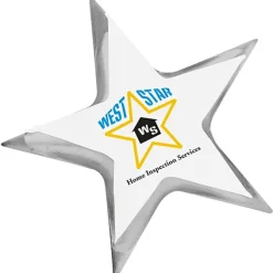 Lapel Pin - Star