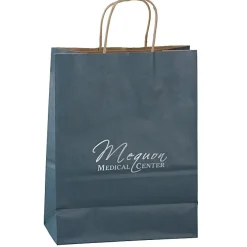 Matte Shopping Bag - 13 inches x 10 inches