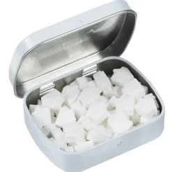 Mint Tin with Shaped Mints - House