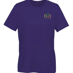 Nike Swoosh Sleeve rLegend T-Shirt - Ladies' - Embroidered