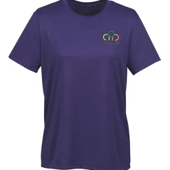 Nike Swoosh Sleeve rLegend T-Shirt - Ladies' - Embroidered