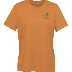 Nike Swoosh Sleeve rLegend T-Shirt - Ladies' - Embroidered