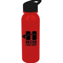 Outdoor Bottle with Flip Straw Lid - 24 oz