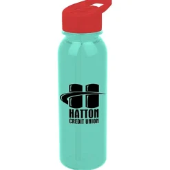 Outdoor Bottle with Flip Straw Lid - 24 oz
