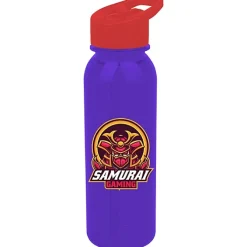 Outdoor Bottle with Flip Straw Lid - 24 oz - Full Color