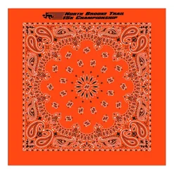 Paisley Bandana - USA Made