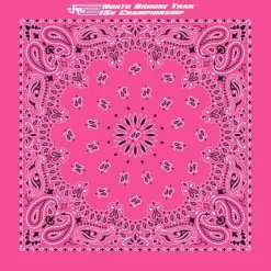 Paisley Bandana - USA Made