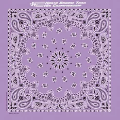 Paisley Bandana - USA Made
