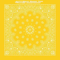 Paisley Bandana - USA Made
