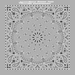 Paisley Bandana - USA Made