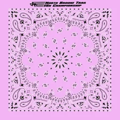 Paisley Bandana - USA Made