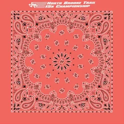 Paisley Bandana - USA Made