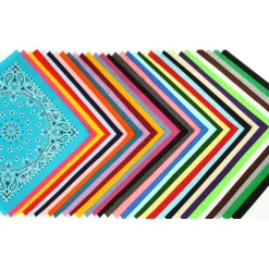 Paisley Bandana - USA Made