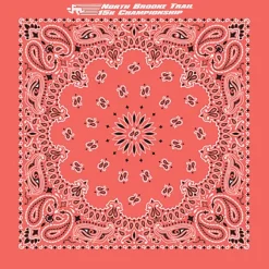 Paisley Bandana - USA Made