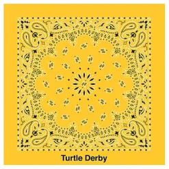 Paisley Bandana - USA Made