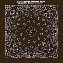 Paisley Bandana - USA Made