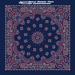 Paisley Bandana - USA Made