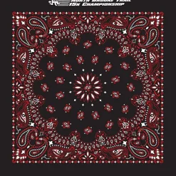 Paisley Bandana - USA Made