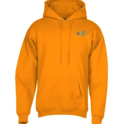 Paramount Pullover Hoodie - Embroidered