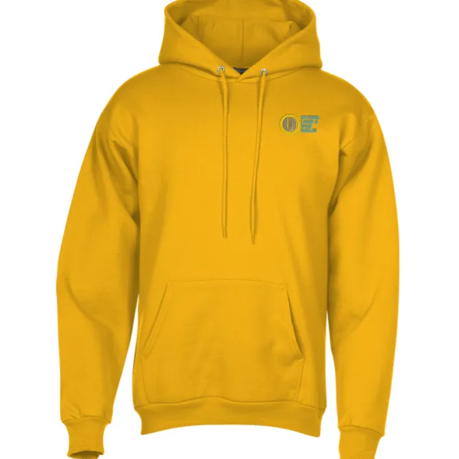Paramount Pullover Hoodie - Embroidered