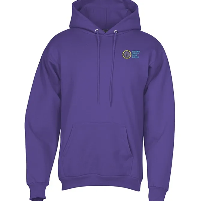 Paramount Pullover Hoodie - Embroidered - 24 hr