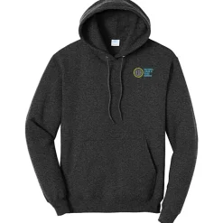 Paramount Pullover Hoodie - Embroidered - 24 hr