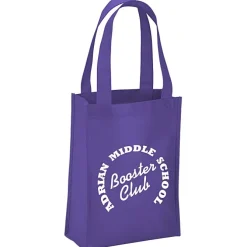 Payson Mini Tote - 12 inches x 9 inches - 24 hr