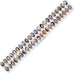 Presidential Ruler