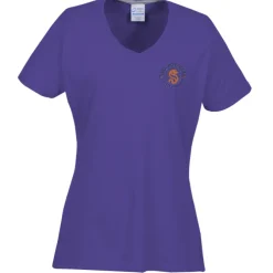 Principle Performance Blend Ladies' V-Neck T-Shirt - Embroidered