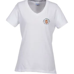 Principle Performance Blend Ladies' V-Neck T-Shirt - Embroidered