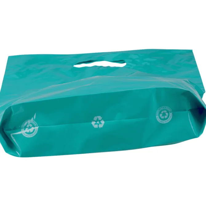 Reinforced Handle Plastic Bag - 13 inches x 9 inches