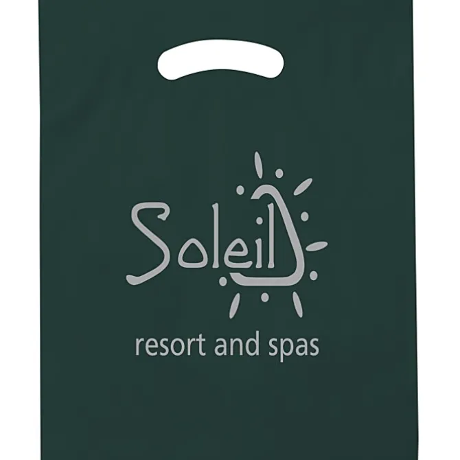 Reinforced Handle Plastic Bag - 19 inches x 15 inches