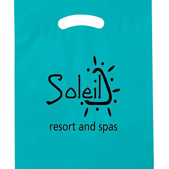 Reinforced Handle Plastic Bag - 19 inches x 15 inches