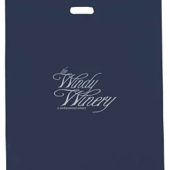 Reinforced Handle Plastic Bag - 22 inches x 20 inches