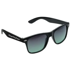 Risky Business Sunglasses - Gradient Lens - 24 hr