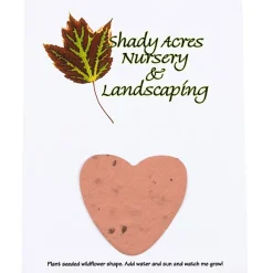 Seeded Paper Shapes Mailer/Postcard - 4 inches x 5 inches Heart
