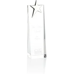 Silver Star Crystal Award