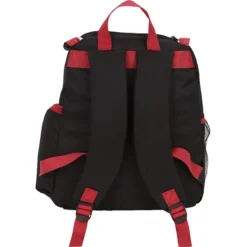 Snap Close Backpack Cooler