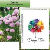 Standard Series Seed Packet - Chives