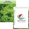 Standard Series Seed Packet - Lettuce