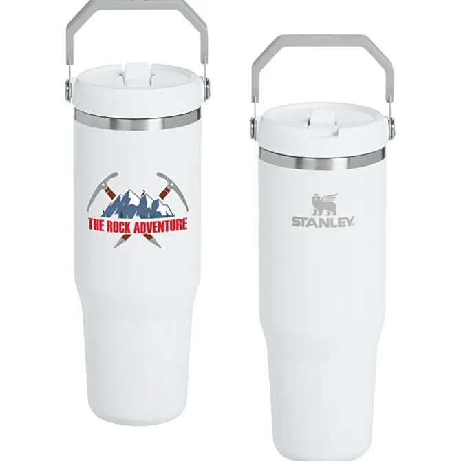 Stanley IceFlow Flip Straw Tumbler - 30 oz - Full Color