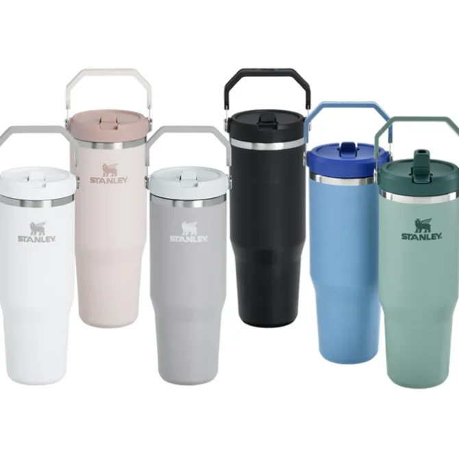 Stanley IceFlow Flip Straw Tumbler - 30 oz - Full Color