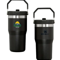 Stanley IceFlow Flip Straw Tumbler - 20 oz - Full Color
